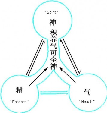 Daosim Meditation Daosim Meditation There are 3 life force components in your body. Namely, Essence, Breath and Spirit. 道家静坐 精 气 神