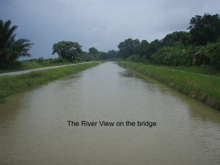 River View on the Bridge River View on the Bridge