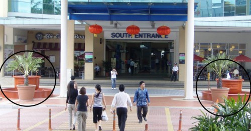South Entrance of the Curve 1 South Entrance of the Curve 1