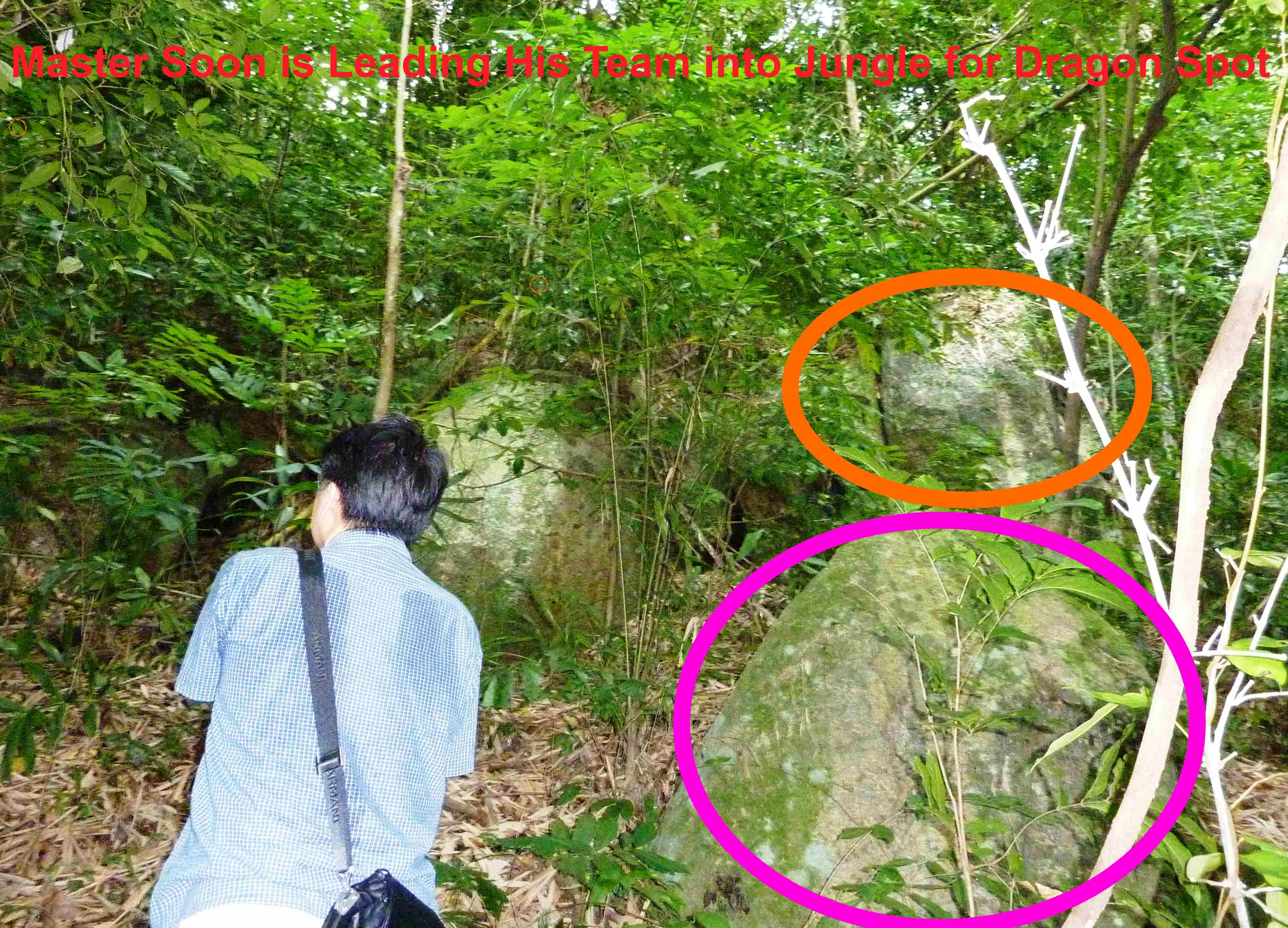 Master Soon & Dragon Spot aa You As An Advanced Level Students, Your Feng Shui Should Had Taken You For A REAL Practical Fieldwork of Dragon Searching Into A Deep Jungle. The Process of Dragon Searching Was Done Before a Contruction of Famous Daoist Temple Like WuDang 武当 Where You Have Visited. Along The Way, You Master Should Had Explained What I Circled in The Picture... All these Are.....