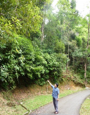 Rain Forest Spa On 6th Jan 2011, took a retreat after monthly long tight schedule. Took A Natural RainForest Spa.....