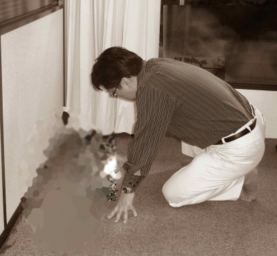 Master Soon Performed Daoistic Feng Shui Master Soon Performed Daoistic Feng Shui, which is, very different from formula based feng shui theories. Different problem needs different methodology.... in this case, I performed method which is non-traditional, non-conventional.... nothing to with market-driven feng shui.....