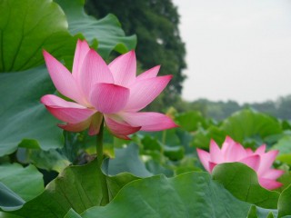 Master Soon in China Sep 2012