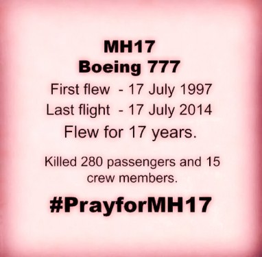 MH 17