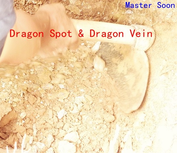 Master Soon Dragon Vein Feng Shui 