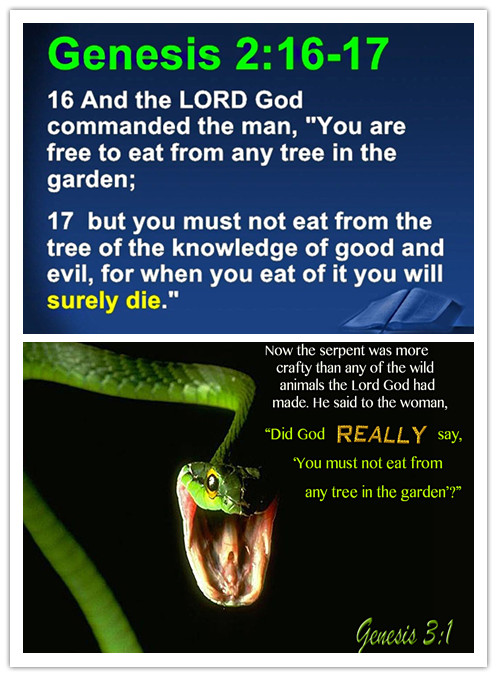 Serpent and Eden Garden