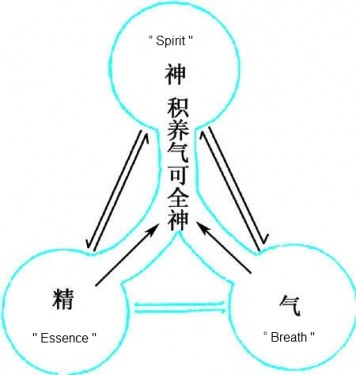 Daosim Meditation   There are 3 life force components in your body. Namely, Essence, Breath and Spirit. 道家静坐  精 气 神