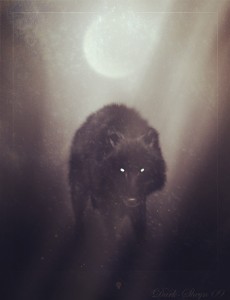 wolf_of_winter_night_by_dark_sheyn_副本