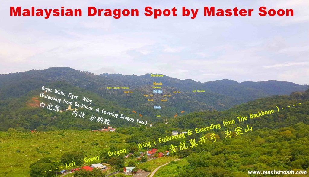 Malaysian Dragon Spot 4 By Master Soon 2020