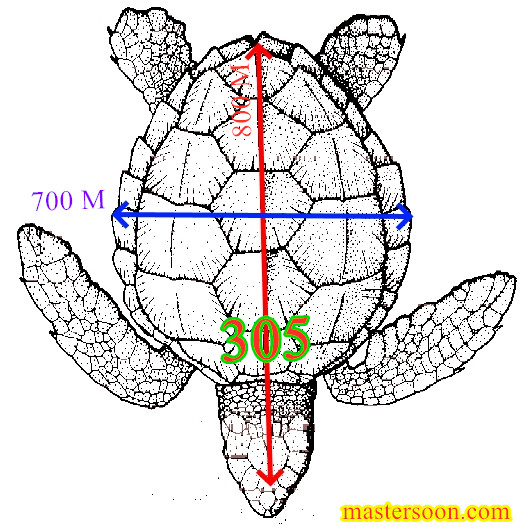 Turtle shape Feng Shui