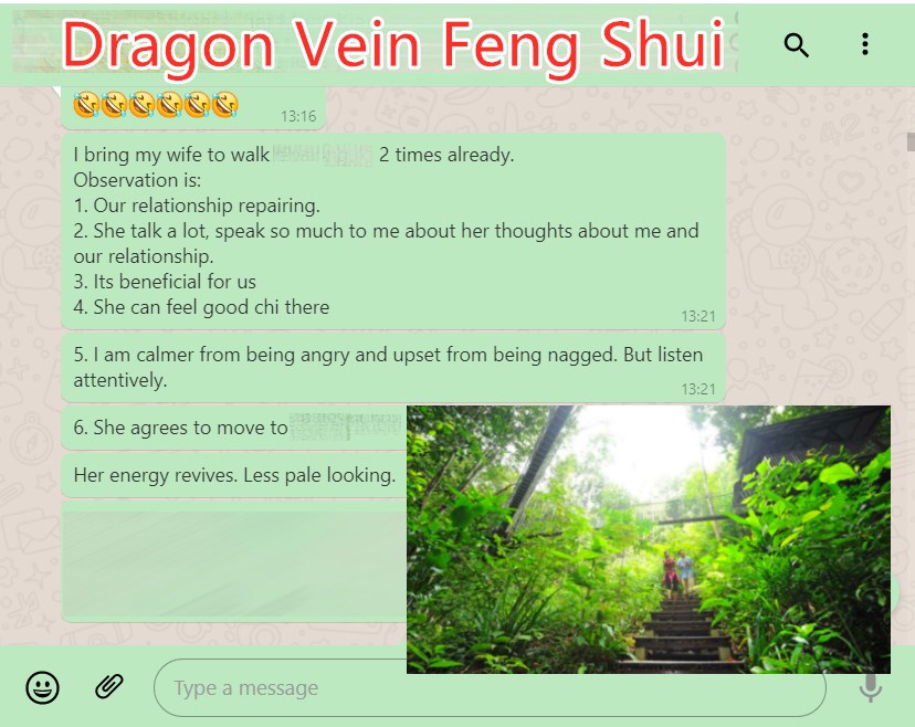 Malaysian Dragon Feng Shui